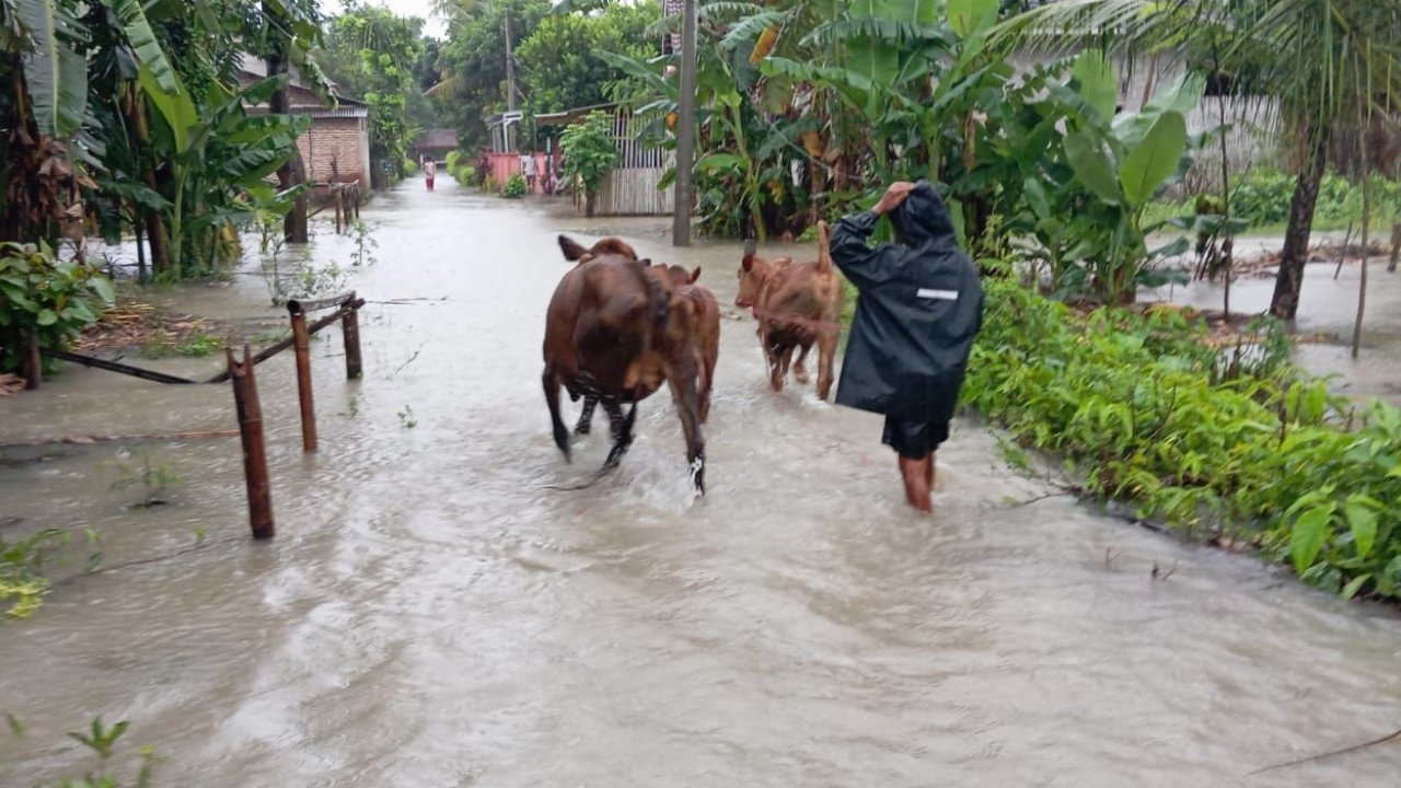 Banjir di Kab. Jember tanggal 04 Januari 2025