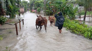 Banjir di Kab. Jember tanggal 04 Januari 2025