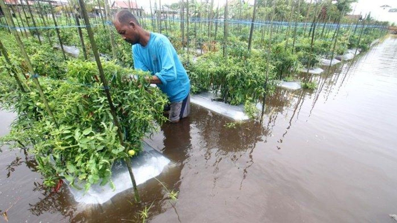 Banjir di Kota Banjarbaru tanggal 11 Januari 2025