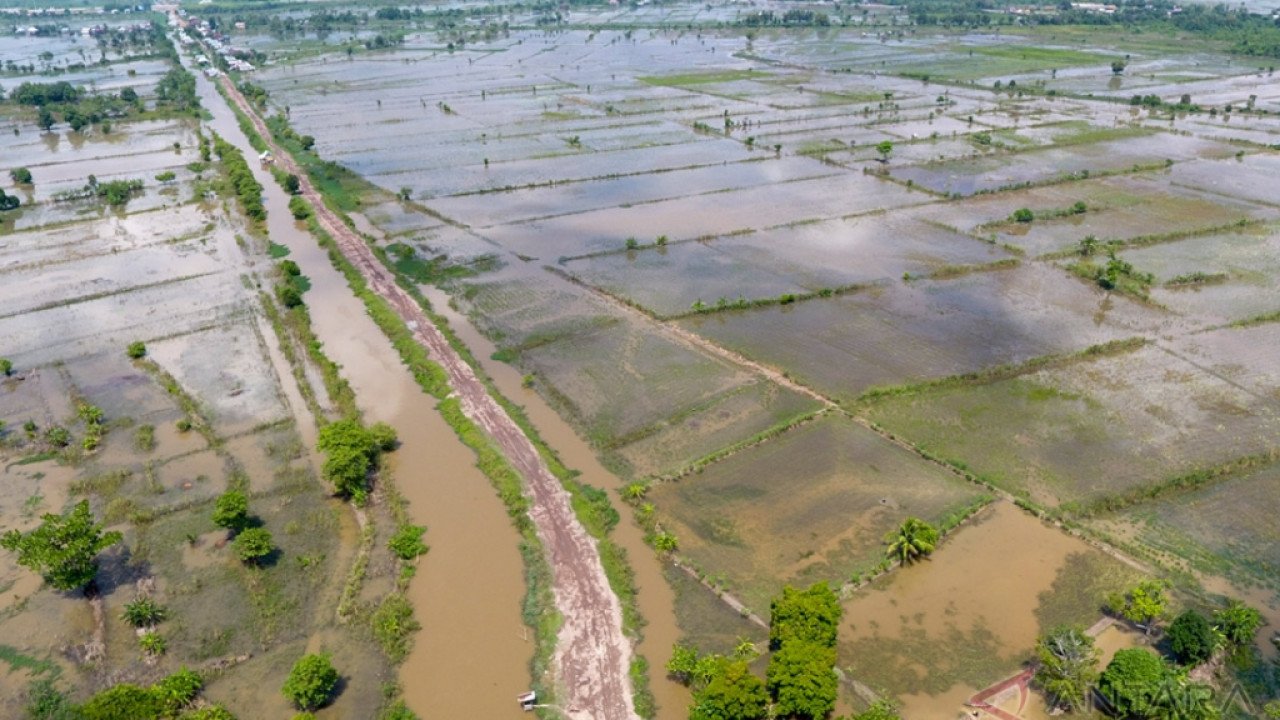 Banjir di Kab. Demak tanggal 13 Maret 2025