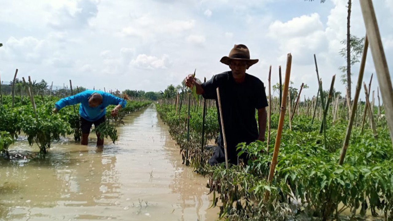 Banjir di Kab. Tuban tanggal 17 Mei 2025